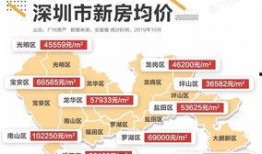 大湾区爆料君视频,揭秘大湾区最新动态与热点事件