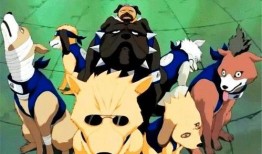 帕克最新爆料忍战奇拉比,帕克揭秘神秘忍者背后的惊人真相