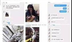 营销号爆料陈坤视频大全,营销号爆料，精彩瞬间一网打尽