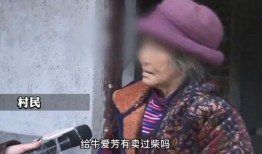 牛爱芳被谁爆料的啊视频,牛爱芳爆料视频幕后真相揭秘