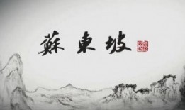 东坡爆料视频大全最新,揭秘娱乐圈幕后真相