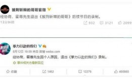 甘雨语音台词爆料视频,揭开神秘角色背后的故事