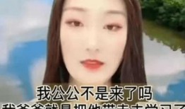 陈亚男爆料婆婆视频,视频曝光惊人内幕