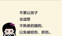 宝宝被爆料新闻怎么处理,家长应对策略全解析