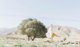 春风自驾游爆料视频,探寻绝美风景，畅享自由之旅