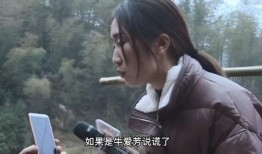 牛爱芳被谁爆料的啊视频,牛爱芳爆料视频幕后真相揭秘
