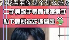 枫丹成男角色爆料视频,揭秘神秘角色背后的故事与设定