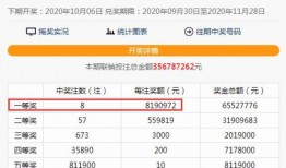 双色球中奖信息爆料最新,双色球大奖揭晓！揭秘中奖者喜提巨额奖金的传奇故事