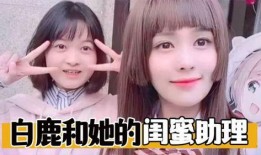 白鹿闺蜜助理爆料视频,揭秘明星背后惊人真相