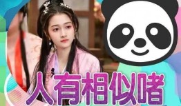 吃瓜小娱乐仙,揭秘娱乐圈背后的那些事儿