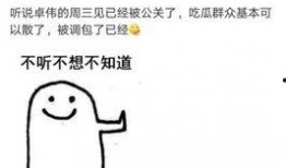 卓伟爆料破案视频大全,揭秘娱乐圈破案视频大全