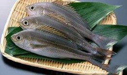 新闻爆料海鱼事件真相是什么,真相背后令人震惊