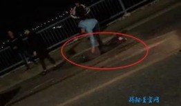 爆料老乔视频大全集免费观看,免费观看视频大全集，带你领略精彩瞬间