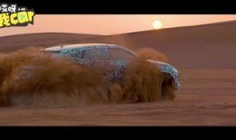 最新沙漠爆料视频播放大全