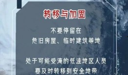 最新台风爆料消息新闻内容