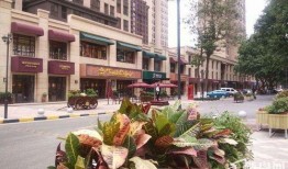 西安海蓝城最新爆料,揭秘未来城市生活新地标