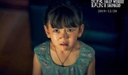 倪震爆料姑姑是真的吗视频,姑姑身份之谜，真相究竟如何？