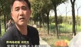 鸡场老板爆料视频