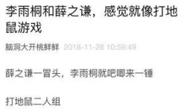 发财的吃瓜日记免费阅读,发财的财富秘密大揭秘