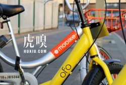 关于ofo共享单车新闻爆料,揭秘行业困境与未来走向”
