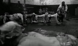 人体蜈蚣1电影在线观看,惊悚极限，生死较量