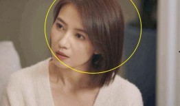 老秦八卦爆料视频播放,视频播放背后的惊人真相