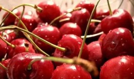 樱桃成熟爆料视频大全,视频大全带你领略鲜果魅力