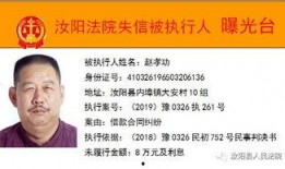 洛阳最新爆料消息,千年古都焕新颜，揭秘背后故事与未来展望