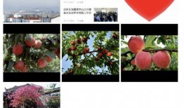 新闻爆料窗口,聚焦社会热点，揭示事件真相