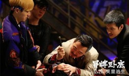 冒牌卧底在线观看,揭秘卧底风云，在线观看揭秘幕后真相