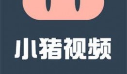 幸福的猪的爆料视频大全,欢乐瞬间，笑料连连