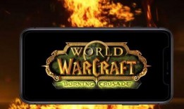 暴雪总裁爆料视频在线观看,独家爆料视频在线观看，带你探秘游戏产业幕后