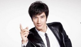 爆料王力宏摄影师视频大全,独家视角下的音乐巨星瞬间