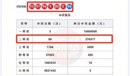 双色球中奖信息爆料最新,双色球大奖揭晓！揭秘中奖者喜提巨额奖金的传奇故事