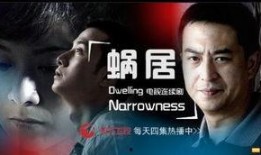 在线观看蜗居,都市奋斗者的悲喜人生