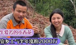 草根网红被爆料视频大全,真实生活背后的故事