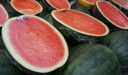 吃瓜qq入口网红是谁,她是如何成为网络红人的？”