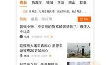 青岛新闻投稿爆料,独家爆料，揭秘青岛最新动态！