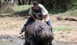 河马视频在线观看