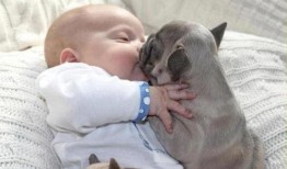 狗崽爆料孩子视频,温馨视频记录童年点滴