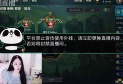 忍者爆料主播是谁呀视频,揭秘神秘主播身份之谜