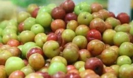 李子恋情爆料最新,明星甜蜜瞬间曝光，真相究竟如何？