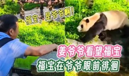 福宝爷爷爆料福宝视频大全,福宝视频大全精彩瞬间大汇总