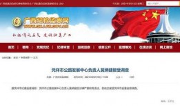 贵港最新爆料消息新闻,揭秘重大事件背后真相