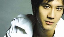 爆料王力宏摄影师视频大全,独家视角下的音乐巨星瞬间