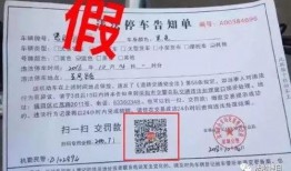 广西爆料诈骗案件最新情况,警方全力打击多起涉案金额巨大案件