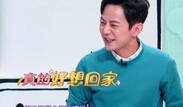 吴昕爆料何炅喝酒视频,吴昕现场记录引发热议