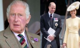 查尔斯最新爆料新闻视频,揭秘不为人知的幕后真相