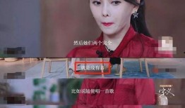 王智爆料吴京视频,视频曝光惊人内幕