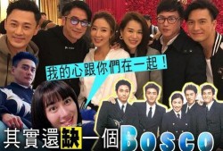 香港最新tvb大爆料,最新大爆料震惊娱乐圈